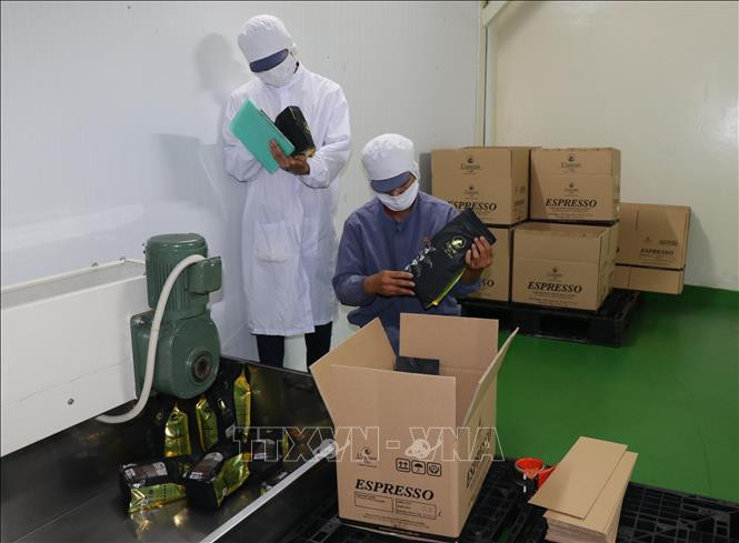 永协有限责任公司的生产链。图自越通社