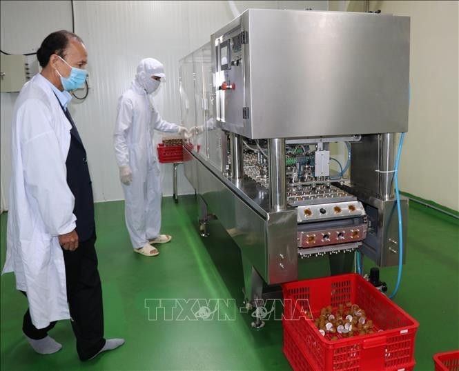 根据《越南与欧盟自由贸易协定》的规定，未来欧盟将对未烘焙咖啡豆和烘焙咖啡等产品的进口关税从7-11%下降为零；将加工咖啡的进口关税从9-12%下降为零。图自越通社