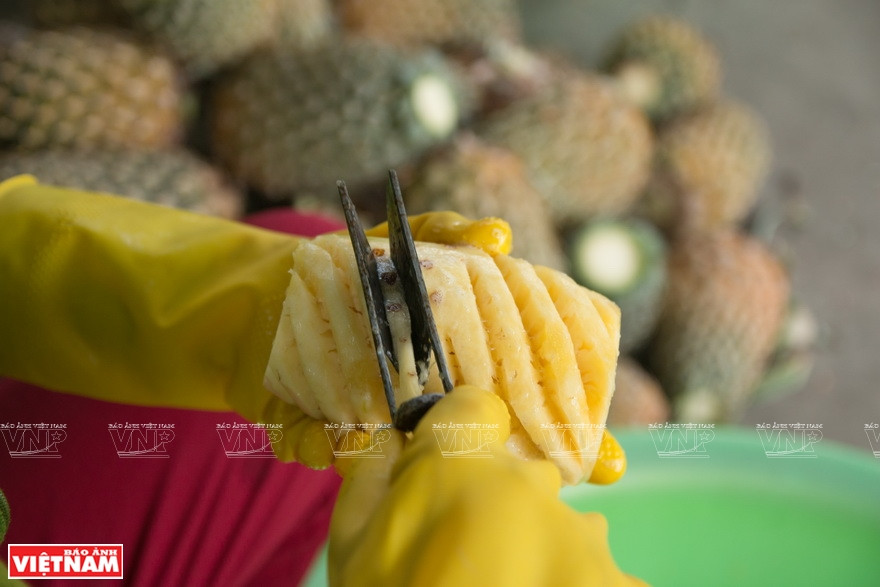 加工菠萝工序。图自越通社越南画报