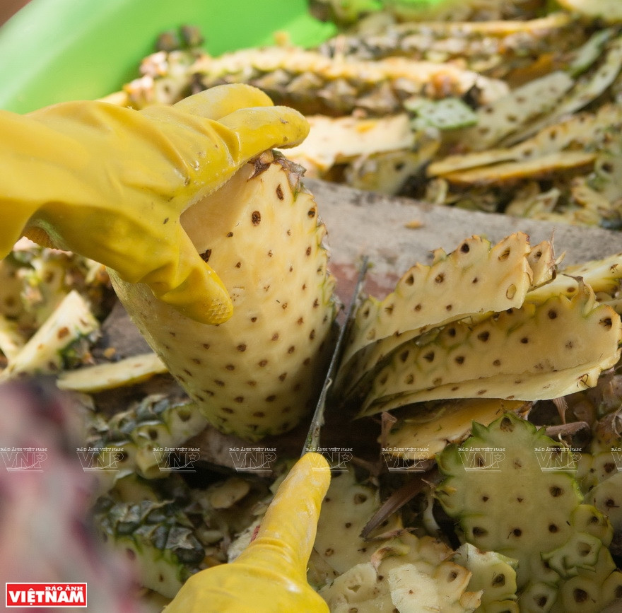 工人加工菠萝。图自越通社越南画报