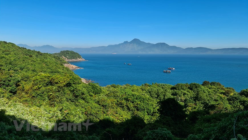 总面积为60多平方米的山茶半岛是红腿白臀叶猴的生活之地。图自Vietnam+