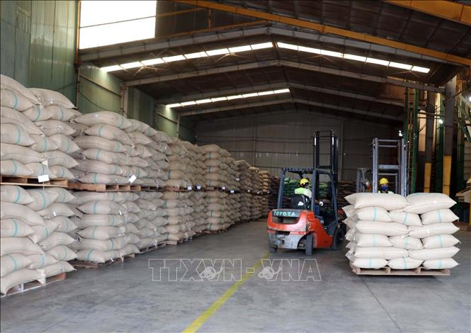 9月16日，永协有限责任公司对欧盟市场出口咖啡。这是按照《越南-欧盟自由贸易协定》规定出口到欧盟市场的首批咖啡。图自越通社