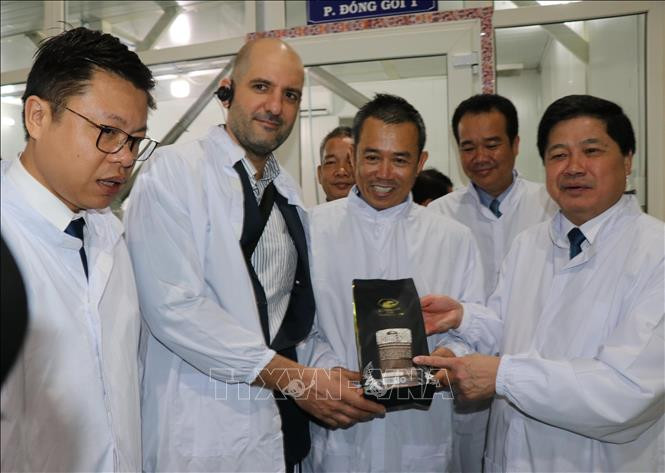 越南咖啡产品满足欧盟国家的严格要求。图自越通社