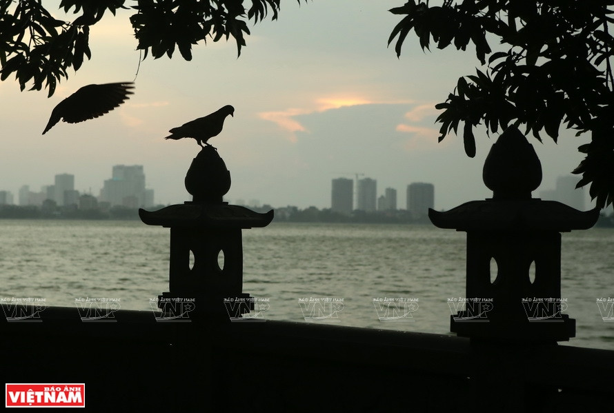 镇国寺坐落在西湖金鱼岛上，原名开国寺。图自越通社越南画报