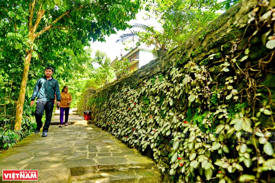 长满青苔的岩石围绕着村庄和园地，是禄安古村的特征之美。图自越通社越南画报