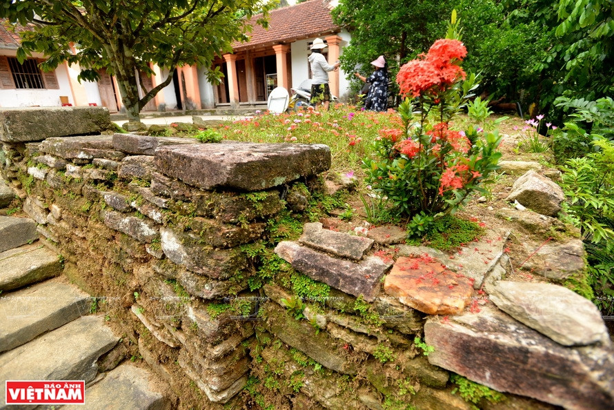 长满青苔的岩石围绕着村庄和园地。图自越通社越南画报