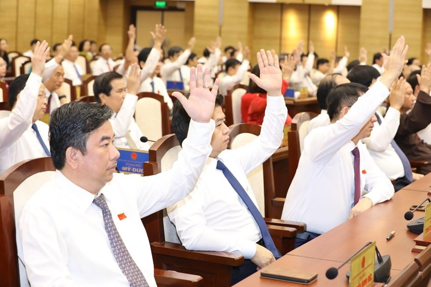 代表表决通过会议各项内容。图自越通社