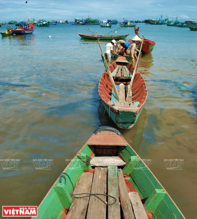 安泰群岛渔民靠着捕捞而生活。（图片来源：越通社）