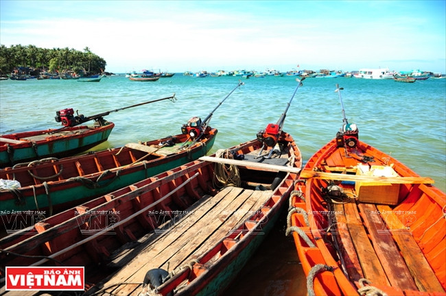 赴安泰岛旅游的游客可以同渔民在海上捕捞。（图片来源：越通社）