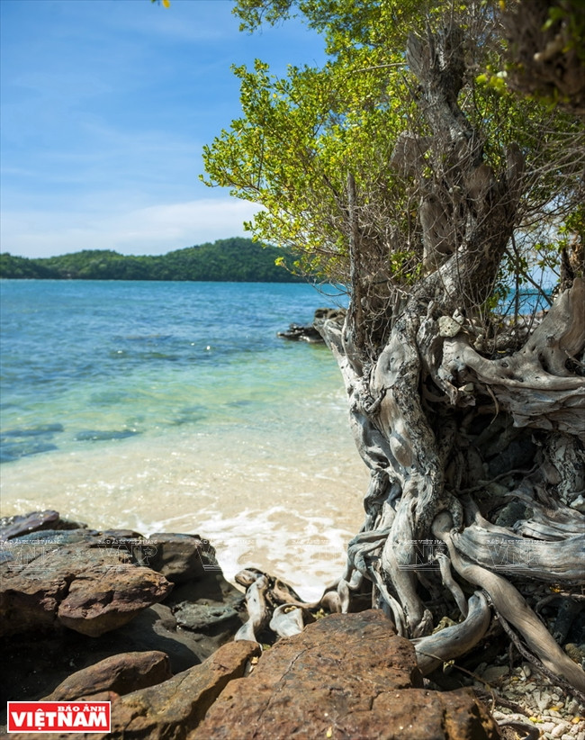 美丽的香岛风光。（图片来源：越通社）