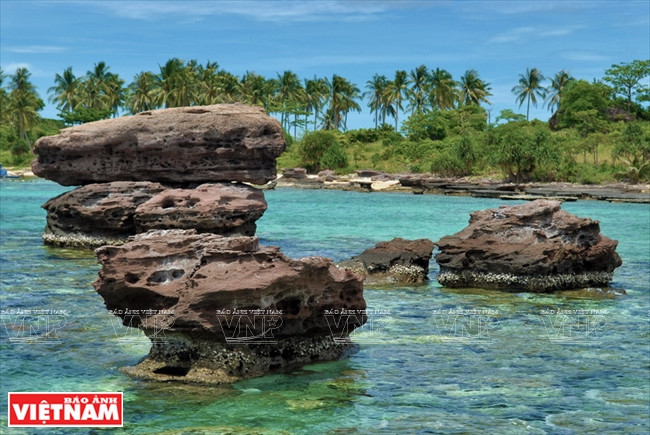 美丽的自然风光。（图片来源：越通社）