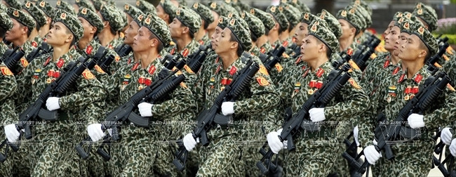 （图片来源：越通社《越南画报》）