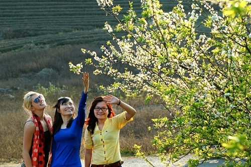 游客欣赏木洲的美丽风光。