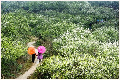 走上村寨之路。