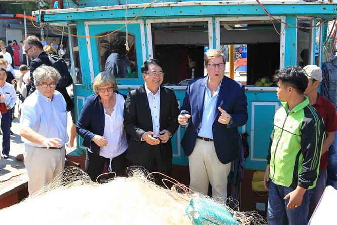 欧洲议会渔业委员会与海防市政府领导对玉海渔港进行实地考察。越通社记者安登 摄