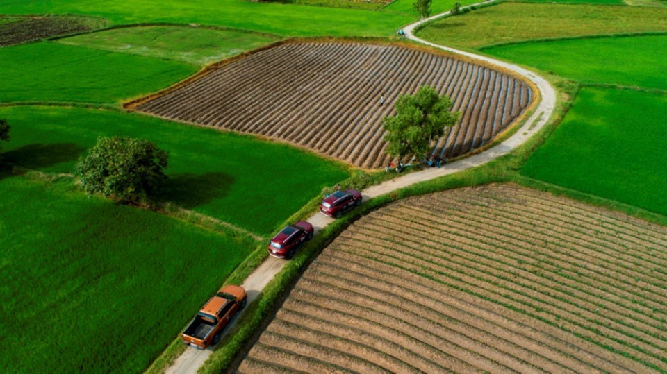  “TaPa田地上的早晨”。图片由组委会提供