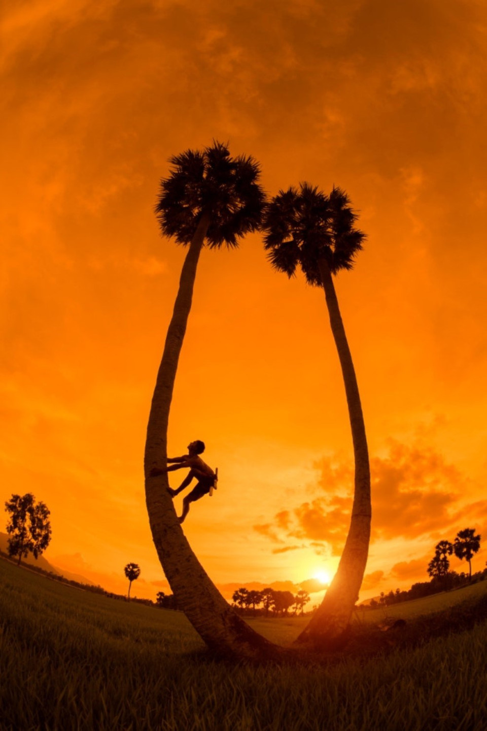  “趴在树上的蚂蚁”作品。图片由组委会提供