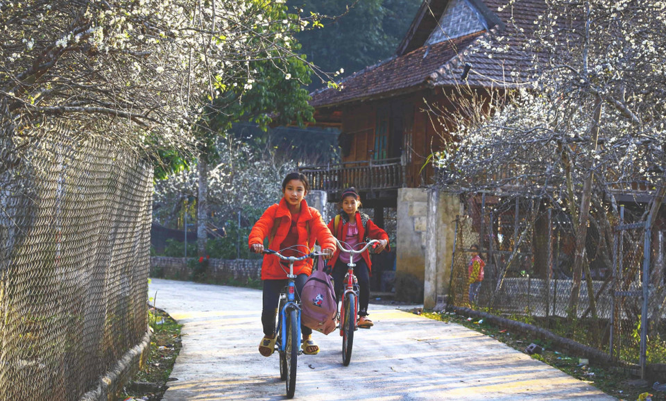 洁白如云的花朵包围着泰族同胞朴素的高脚屋，勾勒出充满诗情画意的画面。图自越通社
