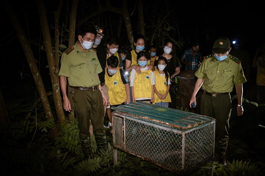 “独特的中秋之夜，将野生动物放回大自然”活动的目的是继续大力开展菊芳国家公园野生动物保护工作，有助于让这里自然环境更丰富多样。传出社区积极携手救护和保护野生动物的信息。参加该活动的儿童们均为该公园昼夜执行保护森林、保护国家绿色之肺的护林员们的子女。图：Vietnam+