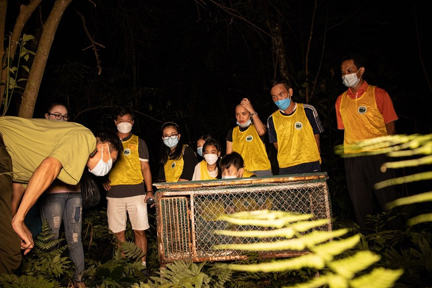 5个月来，“回家”旅游线路成效显著，许多从野生动物非法贸易和运输案解救出来的动物个体已被放回大自然。该活动还吸引社会大众的关注和积极参加。为了继续发挥该旅游线路的效果，公园已举行“独特的中秋之夜，将野生动物放回大自然”活动，传出社区积极携手救护和保护野生动物的信息，提升环境教育工作的效果。图：Vietnam+