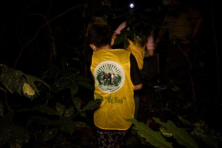 阮文士对本报记者分享说，“我们是佛教信徒，参加该工作也是领会佛的教诲。今日，儿童们已有一个具有特别意义的中秋节。活动上，儿童们已同公园工作人员将帚尾豪猪、网纹蟒和灵猫等野生动物放回大自然。中秋之夜举行的该活动的目的是继续大力开展菊芳国家公园野生动物保护工作，有助于让这里自然环境更丰富多样。传出社区积极携手救护和保护野生动物的信息。图：Vietnam+