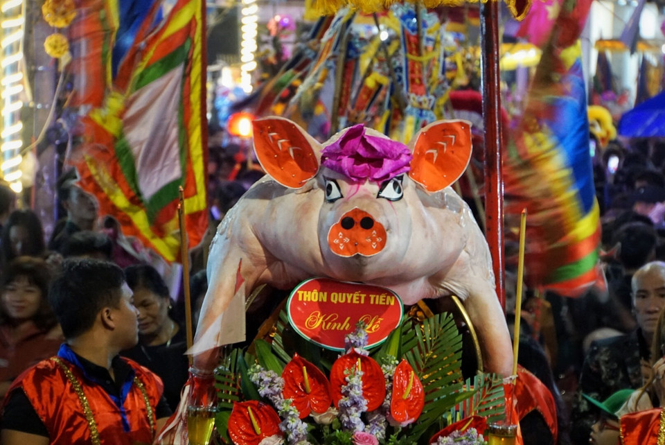 每“位”重达数百公斤的17“位猪爷”从罗符村各大街小巷被迎送到罗符祠。越通社记者名蓝、庆和 摄