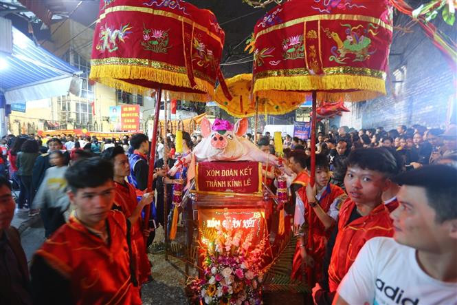 每“位”重达数百公斤的17“位猪爷”从罗符村各大街小巷被迎送到罗符祠。越通社记者名蓝、庆和 摄