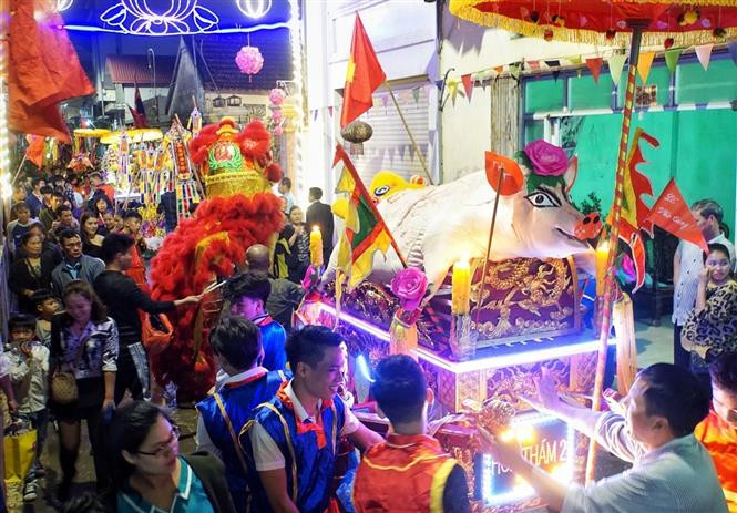 每“位”重达数百公斤的17“位猪爷”从罗符村各大街小巷被迎送到罗符祠。越通社记者名蓝、庆和 摄