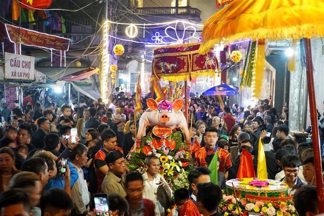 每“位”重达数百公斤的17“位猪爷”从罗符村各大街小巷被迎送到罗符祠。越通社记者名蓝、庆和 摄
