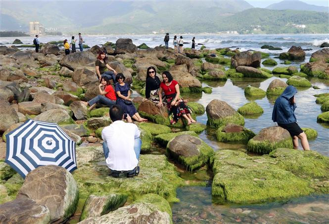 荒野的石礁变得异常美丽迷人，吸引众多四面八方游客前来观光拍照。越通社记者陈黎林 摄