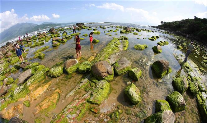 荒野的石礁变得异常美丽迷人，吸引众多四面八方游客前来观光拍照。越通社记者陈黎林 摄