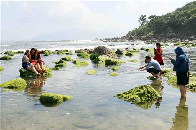 荒野的石礁变得异常美丽迷人，吸引众多四面八方游客前来观光拍照。越通社记者陈黎林 摄