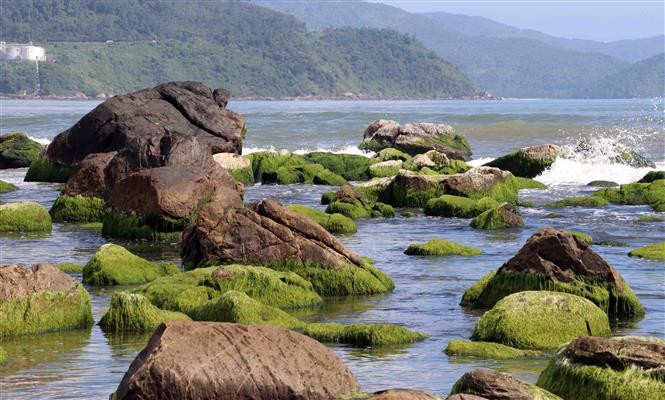荒野的石礁变得异常美丽迷人。越通社记者陈黎林 摄