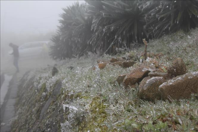 谅山省母山温度零降至2摄氏度，出现冰冻天气。图自越通社