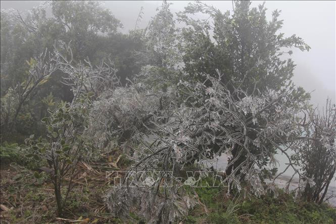 谅山省母山温度零降至2摄氏度，出现冰冻天气。图自越通社