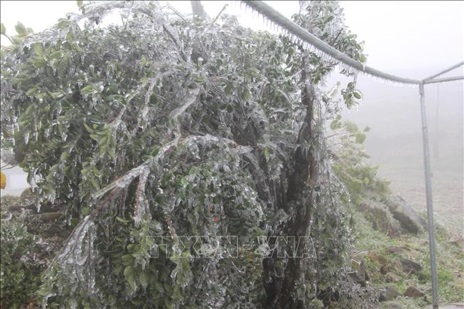 谅山省母山温度零降至2摄氏度，出现冰冻天气。图自越通社
