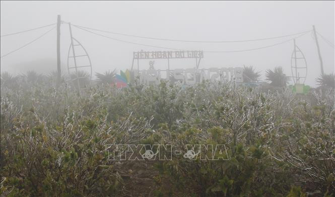 谅山省母山温度零降至2摄氏度，出现冰冻天气。图自越通社