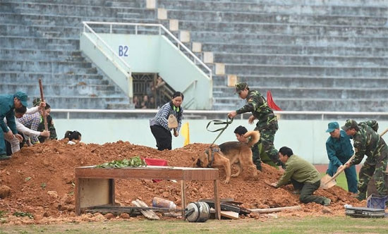 军犬参加搜寻救难。（图片来源：越南《人民军队报》）