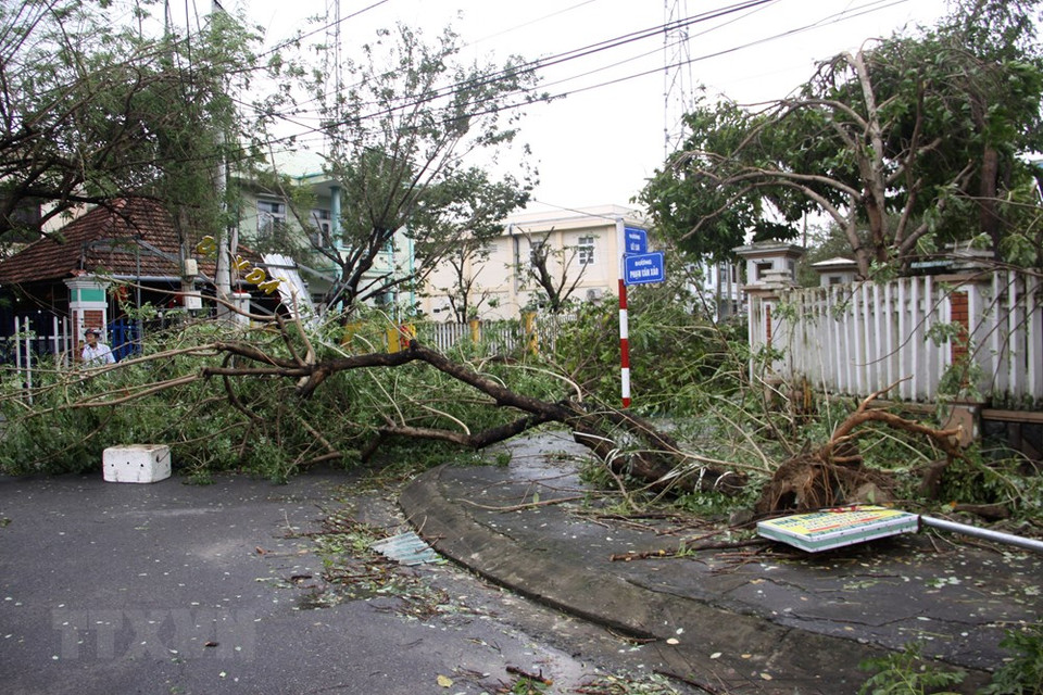 广南省三旗市各条街道的树木和商店被台风吹倒。图自 越通社