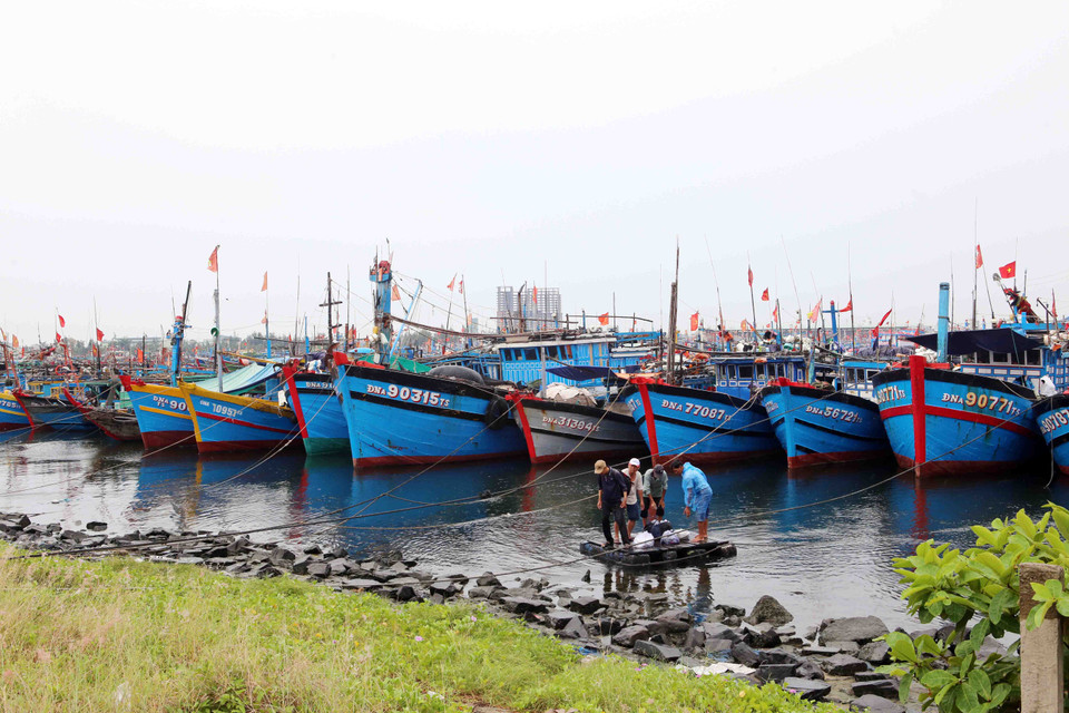  进入沿海锚地避台风的船舶。（图片来源：越通社）