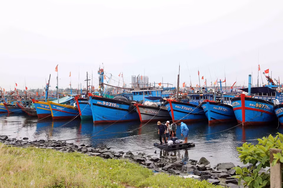  进入沿海锚地避台风的船舶。（图片来源：越通社）