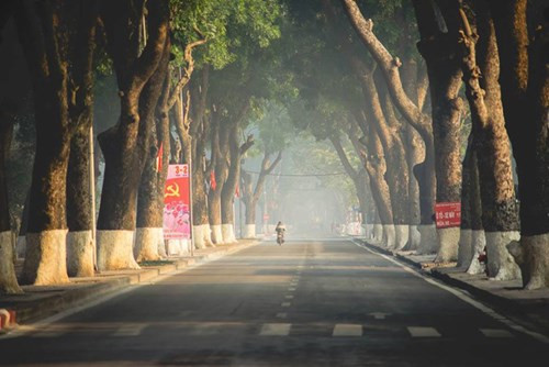 走在落叶的树行下，心灵如同离开了繁华的都市，深深地沉浸在一种温柔、轻松的感觉之中。（图片来源：《人民军队报》）