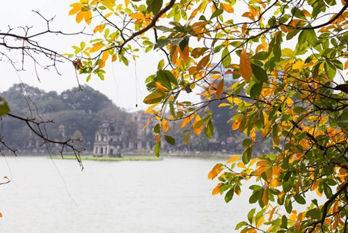 这几天走在青年、还剑湖、潘廷逢等道路上，红树叶和黄树叶挂满树上，这也是人们最深感受到春去夏来之时。图中为熟悉的还剑湖景色如今穿上黄色树叶的睡衣，带给一种非常清新的感觉。（图片来源：《人民军队报》）