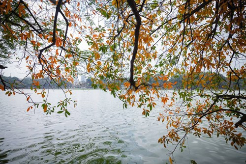 充满诗意的景色给河内天空镀红。（图片来源：《人民军队报》）