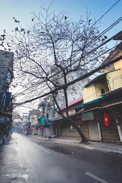 人家经常赞美和内秋季，但春去夏来之间的河内也十分魅力，十分诱人。（图片来源：《人民军队报》）