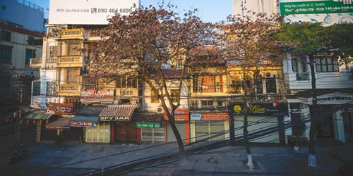 季节交接之间，河内每一条路显得十分浪漫，给人带来怀旧的感觉。（图片来源：《人民军队报》）