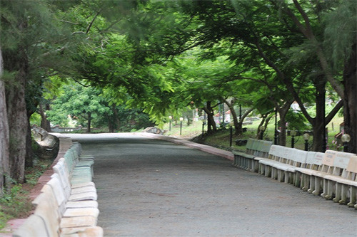 通往航洋烈士陵园的路，这里是安葬被敌人监禁于昆岛监狱的数万名越南革命烈士和爱国志士（图片来源：Vnexpress）