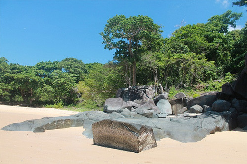 Dam Trau海滩适于游客游泳、晒太阳和享受宁静空间（图片来源：Vnexpress）