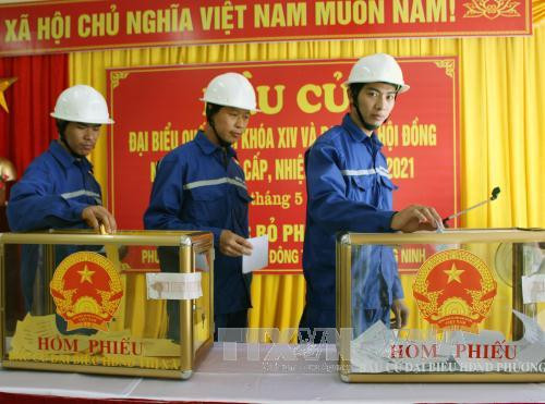  越南茂溪煤炭公司劳动者参加投票。