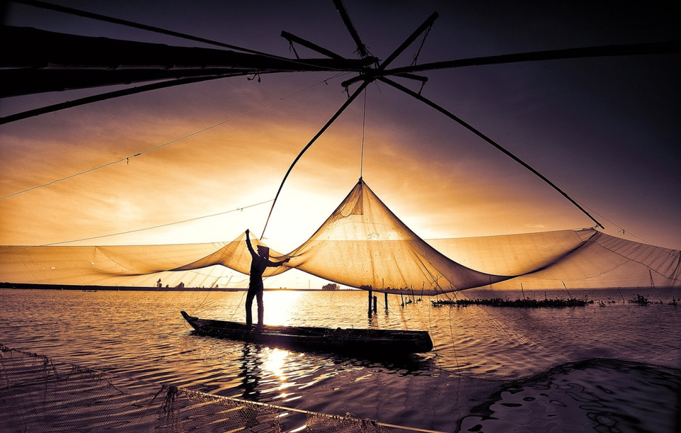 在白茫茫的稻田上收网捞鱼的“舞蹈” 营造了美丽壮观的自然风景。图自vnexpress.net